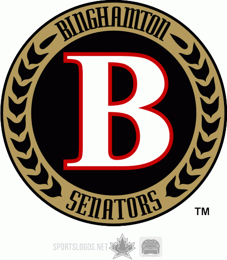 Binghamton Senators 2009 10-Pres Alternate Logo iron on transfers for T-shirts